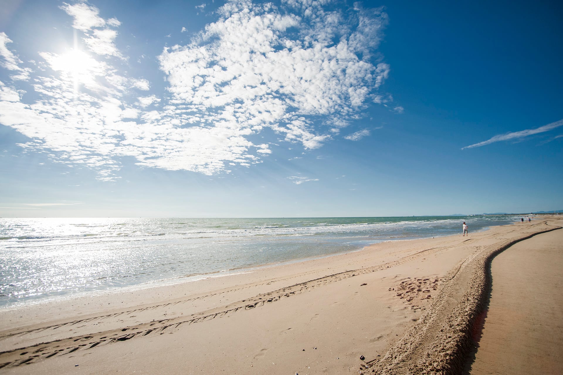 Adriatic coastline near Ravenna
